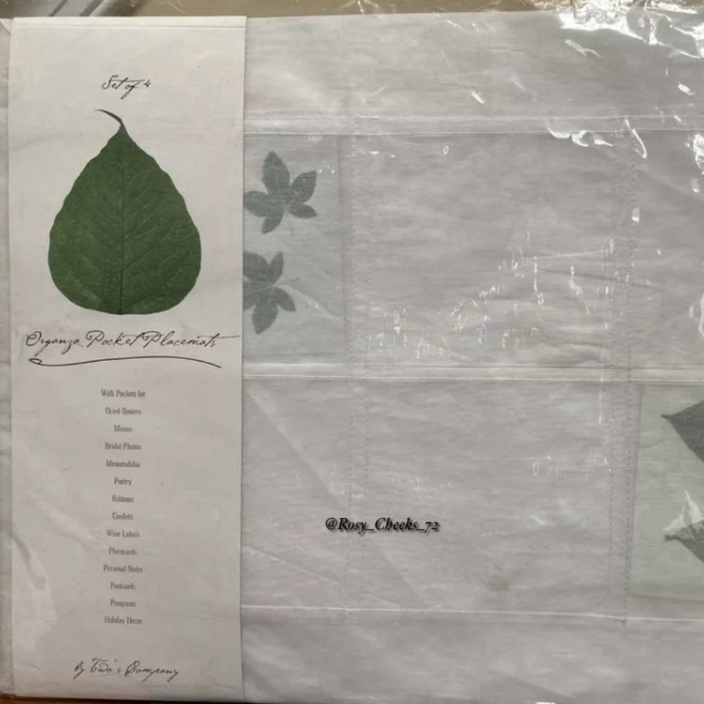 Two's Company Set of 4 Organza Pocket Placemats ****Brand New